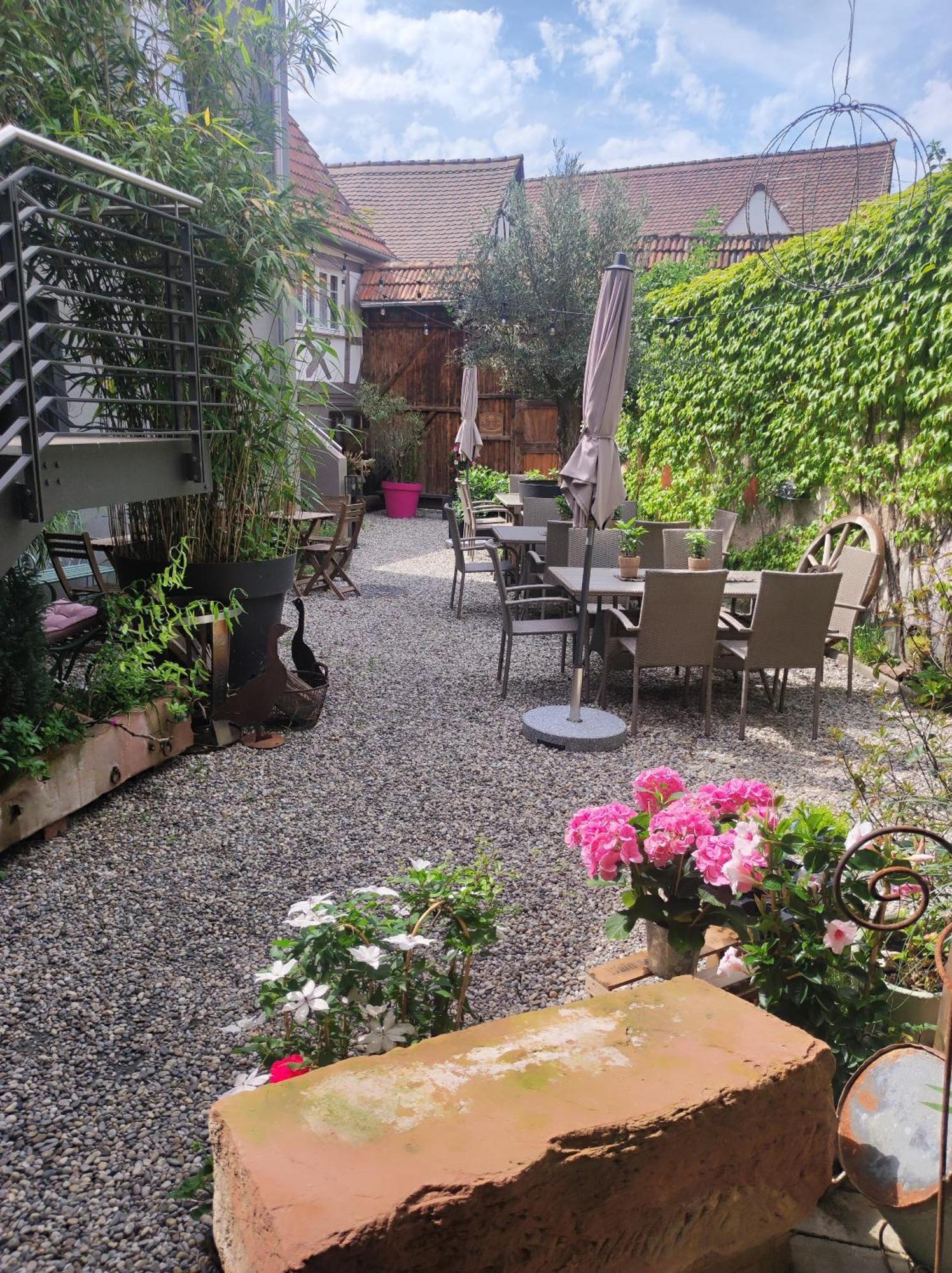 Hofgarten Rosa Ilbesheim bei Landau in der Pfalz Eksteriør billede