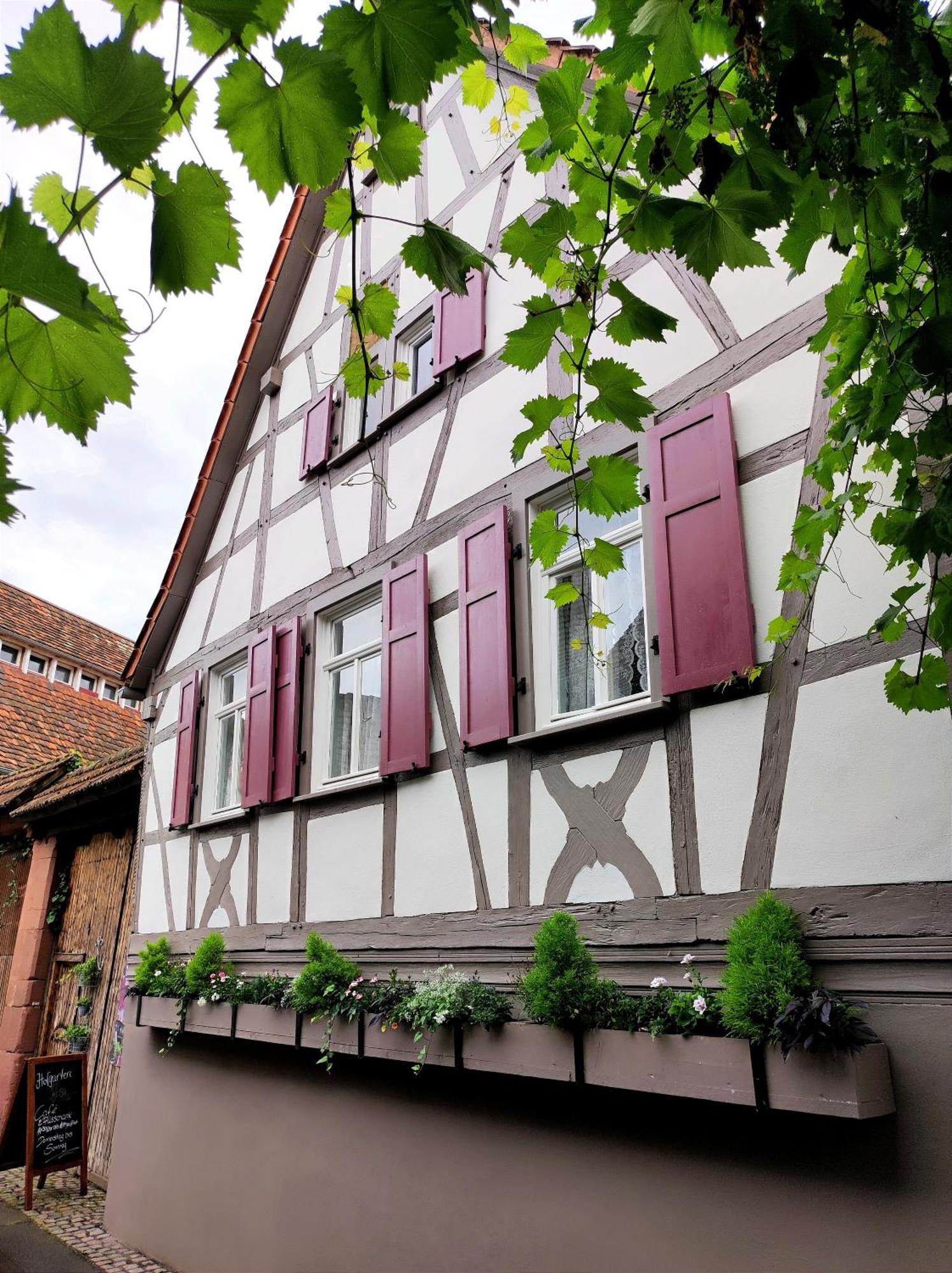 Hofgarten Rosa Ilbesheim bei Landau in der Pfalz Eksteriør billede