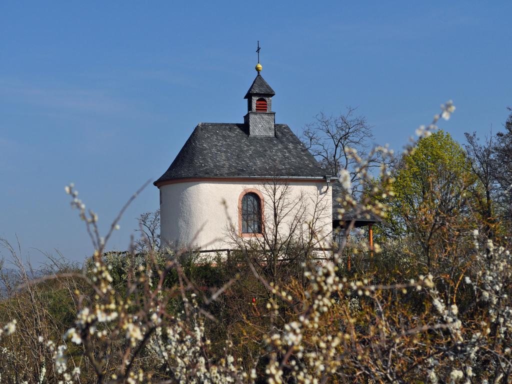 Hofgarten Rosa Ilbesheim bei Landau in der Pfalz Eksteriør billede