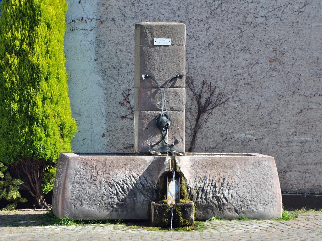 Hofgarten Rosa Ilbesheim bei Landau in der Pfalz Eksteriør billede